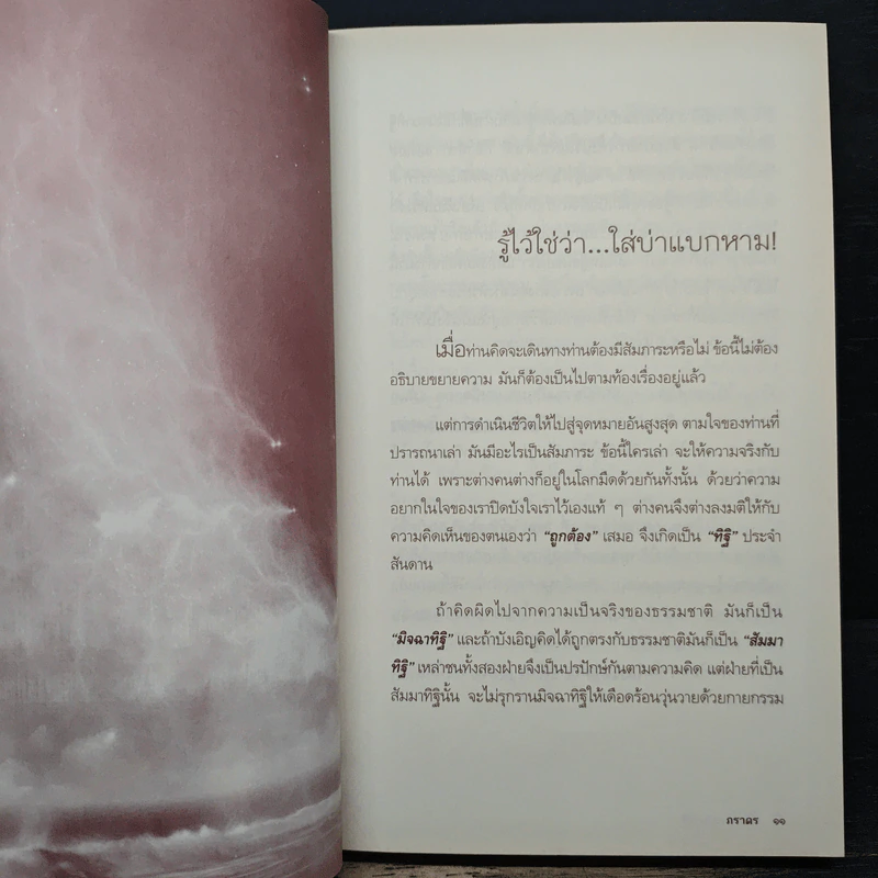 พระนางสามาวดี - ภราดร รูปที่ 8