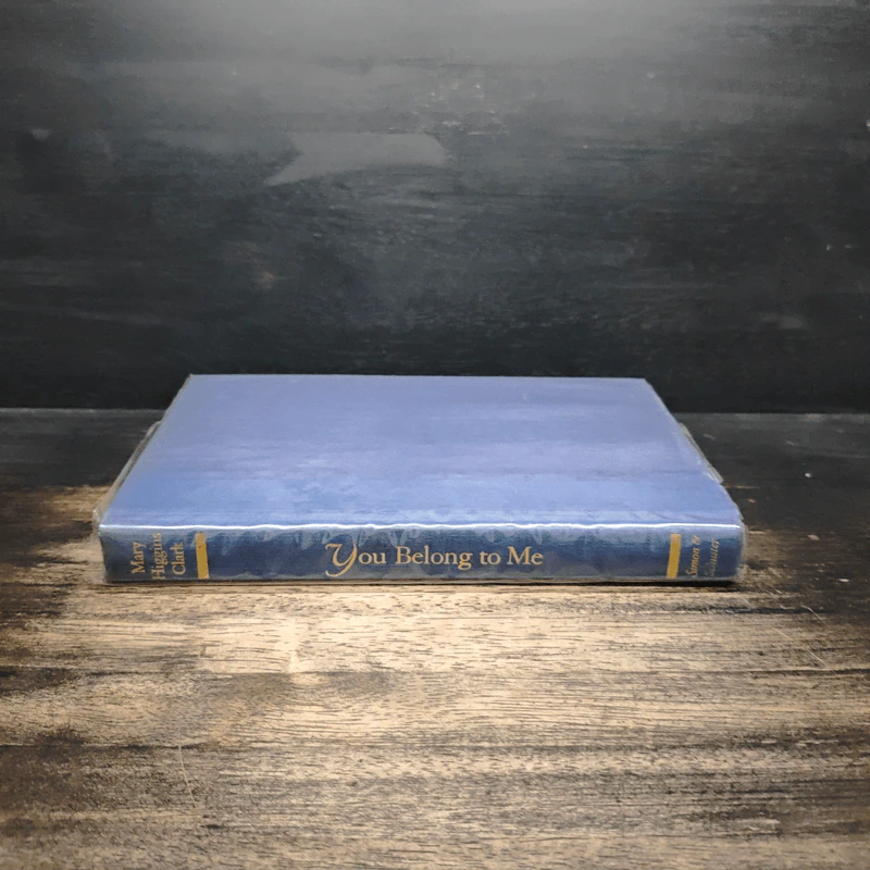 You Belong to Me - Mary Higgins Clark รูปที่ 3