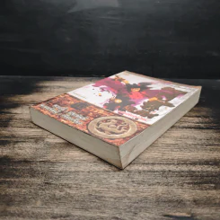 มังกรคู่สู้สิบทิศ เล่ม 10 - หวงอี้, น.นพรัตน์ รูปที่ 4
