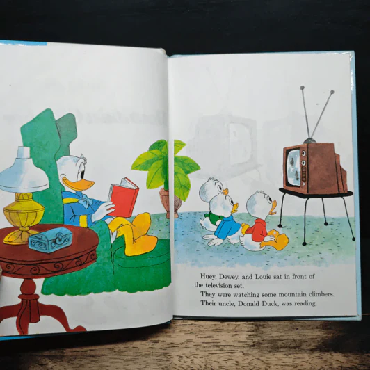 Donald Duck: Mountain Climber รูปที่ 6