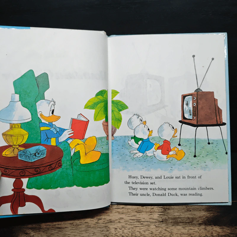 Donald Duck: Mountain Climber รูปที่ 6