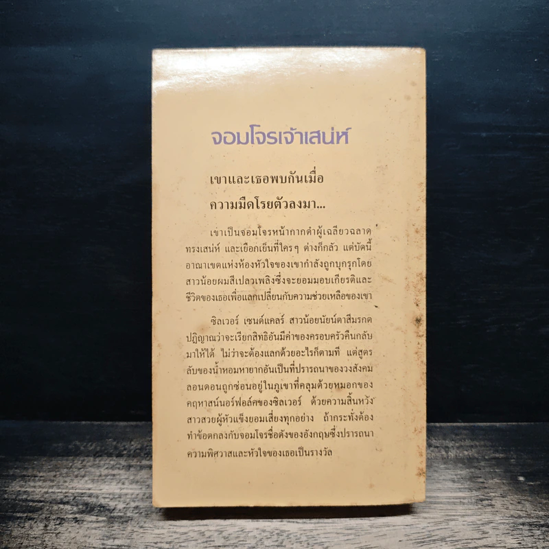 นิยายโรมานซ์ จอมโจรเจ้าเสน่ห์ - พิชญา รูปที่ 2