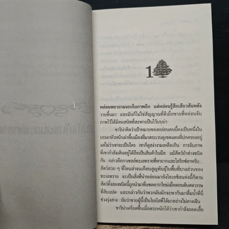 นิยายโรมานซ์ เสน่ห์แค้นแดนทะเลทราย - Stella Simon, นัทธนันท์ รูปที่ 7