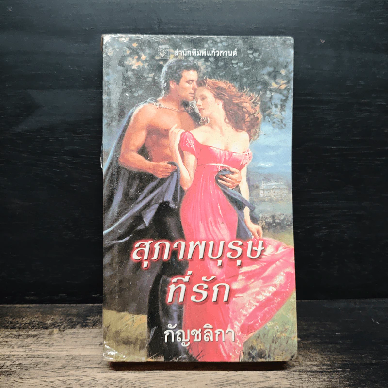 นิยายโรมานซ์ สุภาพบุรุษที่รัก - กัญชลิกา รูปที่ 1