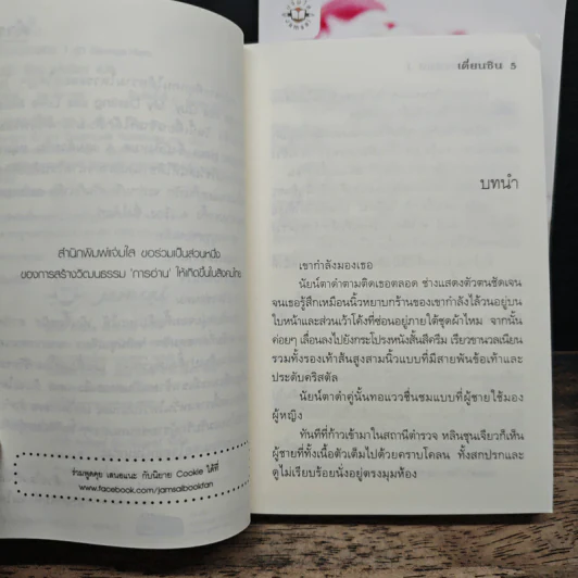สารวัตรซ่อนคม 2 เล่มจบ - เตี่ยนซิน รูปที่ 8
