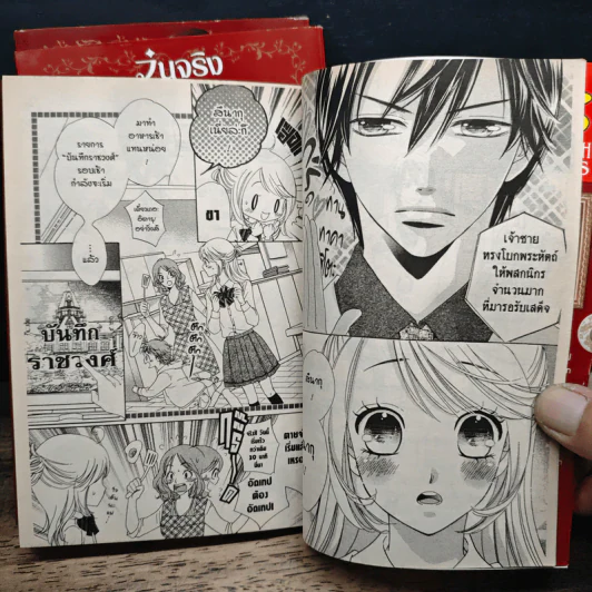 วุ่นจริงรักปรินซ์หรือเจ้าชาย 3 เล่มจบ - Miyoshi Tomori รูปที่ 8