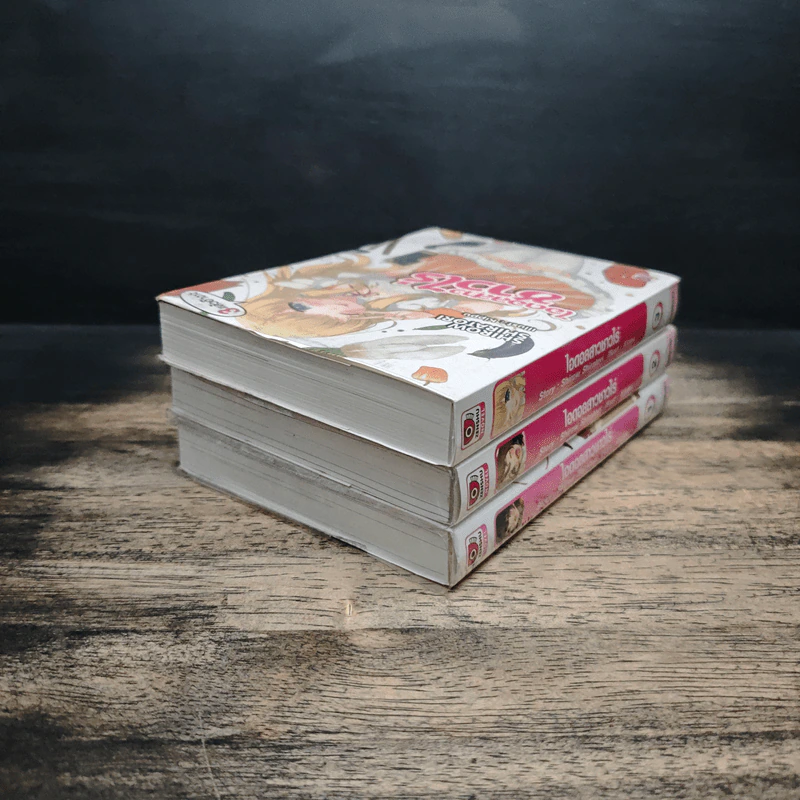 ไอดอลสาวชาวไร่ เล่ม 1-3 รูปที่ 4
