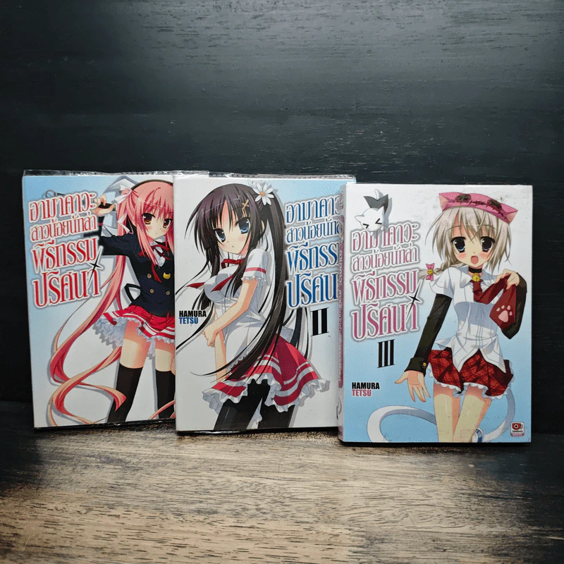 นิยาย อามาคาวะ สาวน้อยนักล่า พิธีกรรมปริศนา เล่ม 1-3 รูปที่ 1
