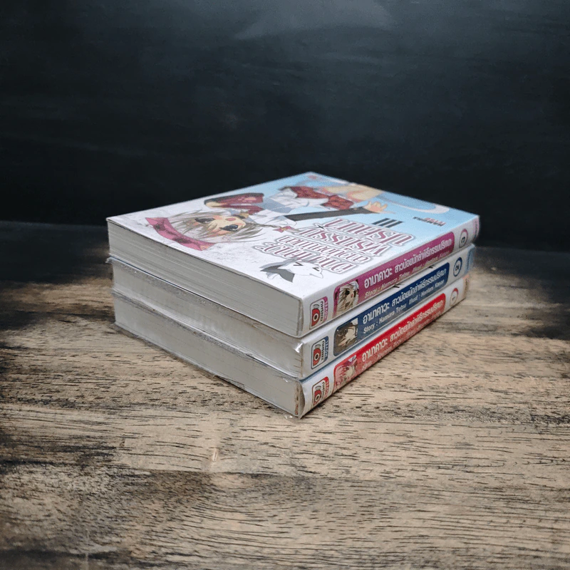 นิยาย อามาคาวะ สาวน้อยนักล่า พิธีกรรมปริศนา เล่ม 1-3 รูปที่ 5