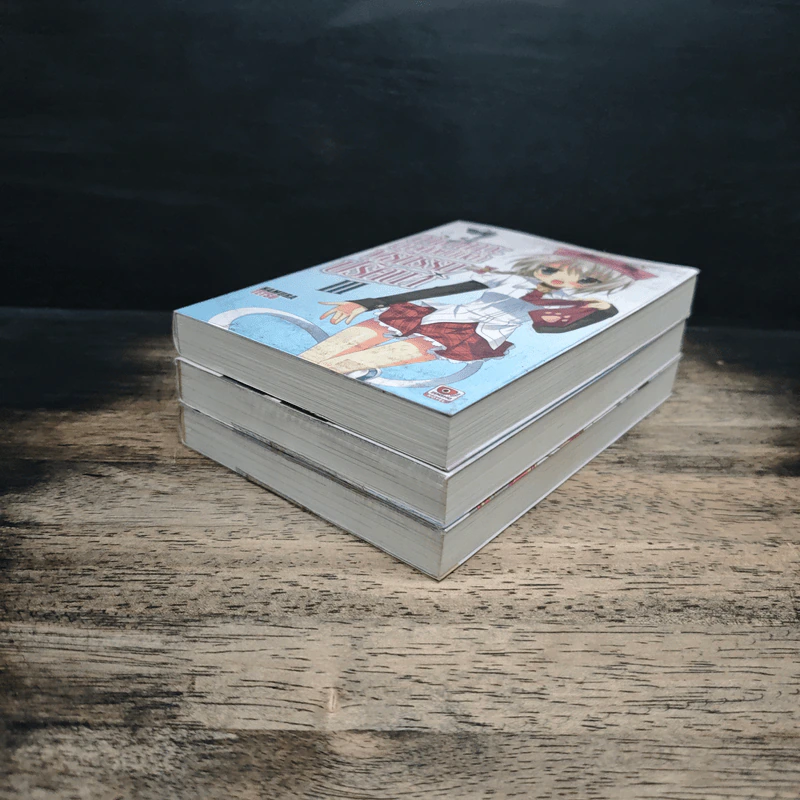 นิยาย อามาคาวะ สาวน้อยนักล่า พิธีกรรมปริศนา เล่ม 1-3 รูปที่ 4