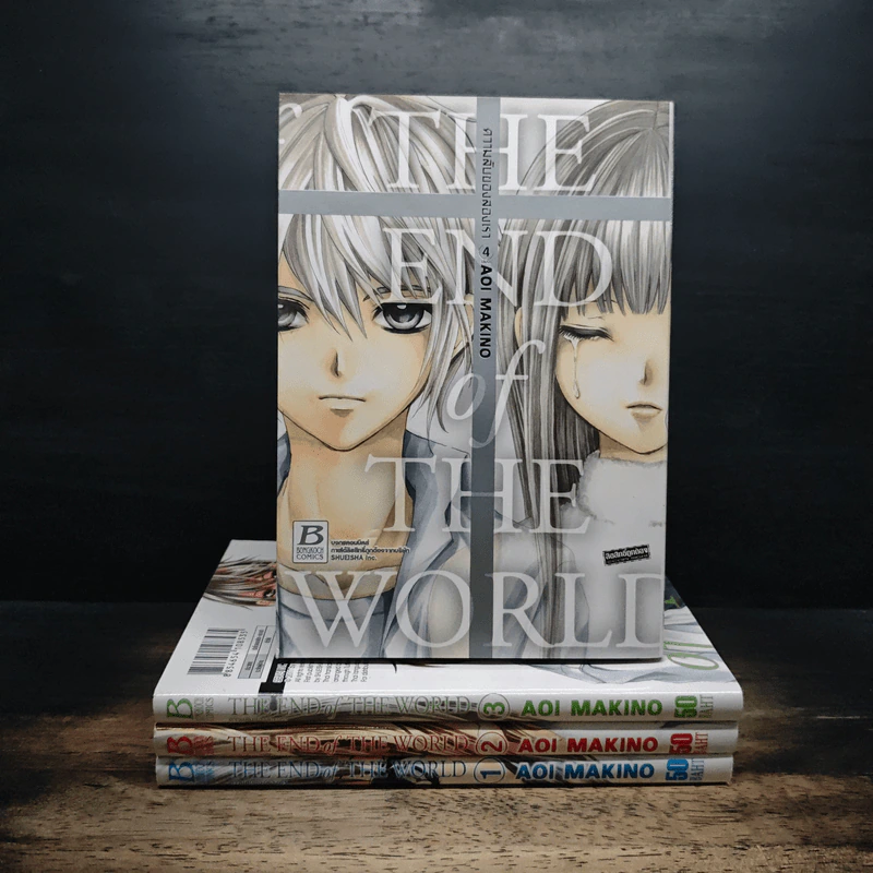 The End of The World ความลับของสองเรา 4 เล่มจบ รูปที่ 1