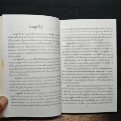ธุดงค์ข้ามแดน (อินเดีย) ตอน 3 - กิตุติญาโณ ภิกขุ รูปที่ 9
