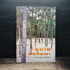 อุบายฝึกปัญญา - พระอาจารย์ทูล ขิปปปญโญ รูปที่ 1