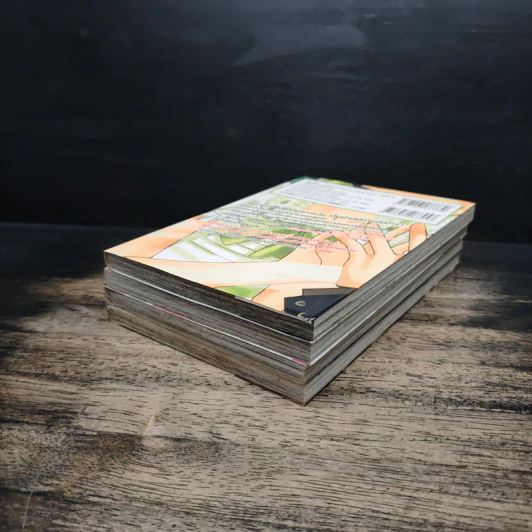 ทำนองรักจังหวะหัวใจ ภาค 2 เล่ม 1-4 รูปที่ 3