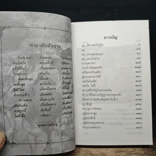 ธุดงค์ข้ามแดน (แม่-อินเดีย)ตอน 4 - ทิตุติญาโณ ภิกขุ รูปที่ 9