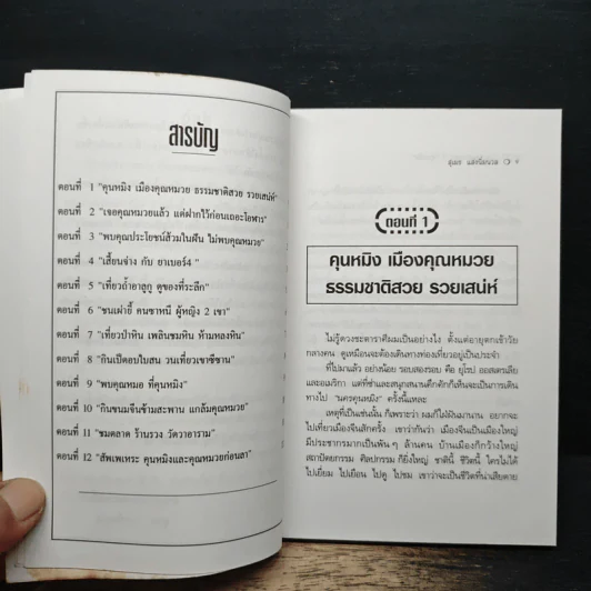 ไปดูคุณหมวยที่คุณหมิง - สุเมธ แสงนิ่มนวล รูปที่ 7