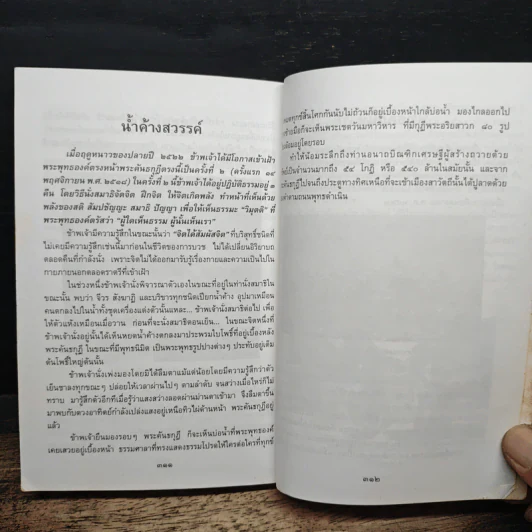 ธุดงค์ข้ามแดน (อินเดีย) ตอน 3 - กิตุติญาโณ ภิกขุ รูปที่ 10
