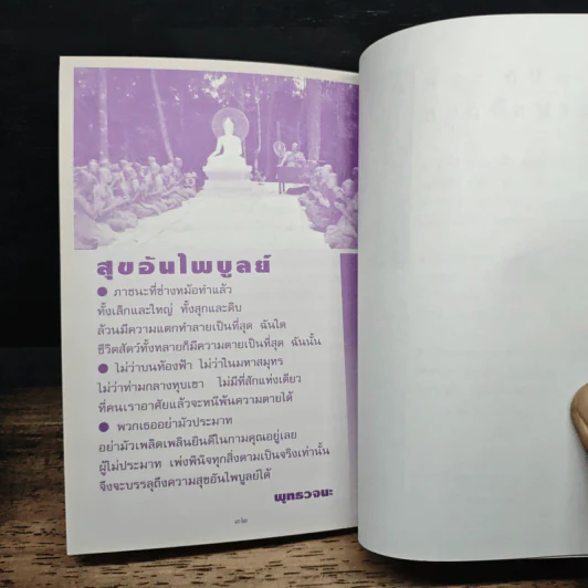 สุญญตา หัวใจของพุทธศาสนา - พุทธทาสภิกขุ รูปที่ 8