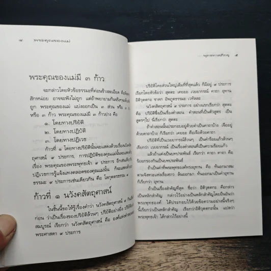 ธรรมะมาตา พระคุณของแม่ พระพรหมของลูก รูปที่ 8
