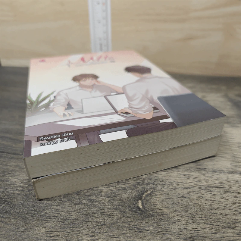 MHz, ความถี่หัวใจ 2 เล่มจบ - Swanlee รูปที่ 3