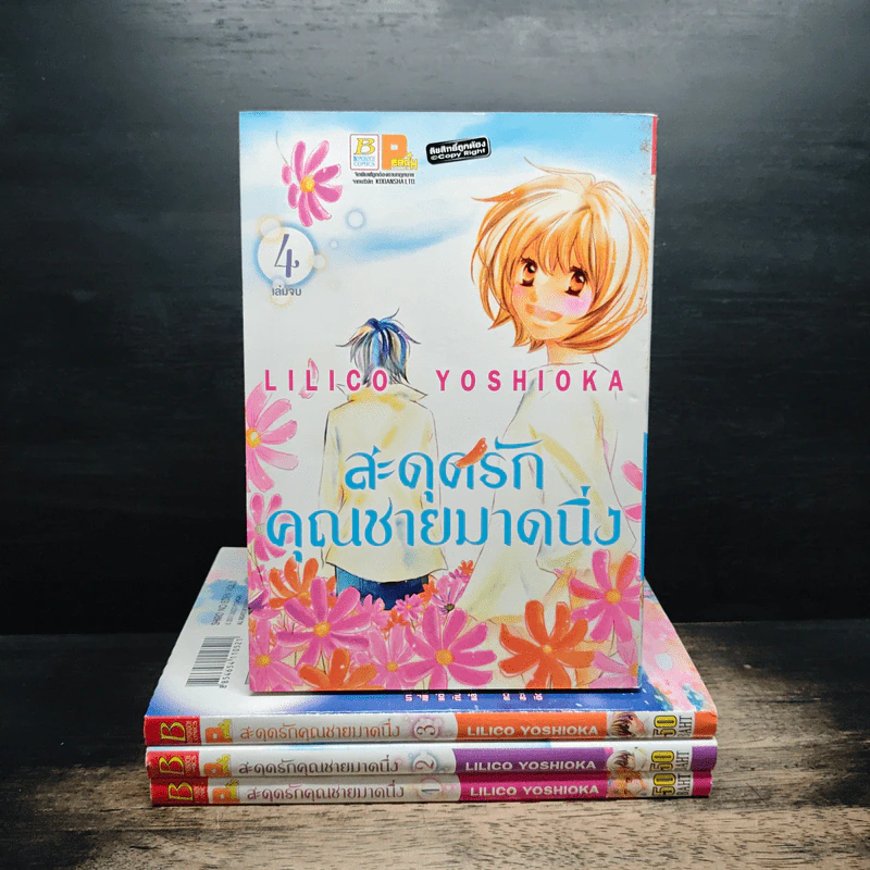 สะดุดรักคุณชายมาดนิ่ง 4 เล่มจบ รูปที่ 1