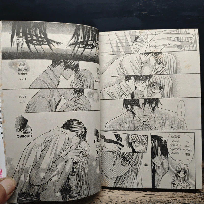 มาเฟียที่รัก 9 เล่มจบ - Shinjo Mayu รูปที่ 6