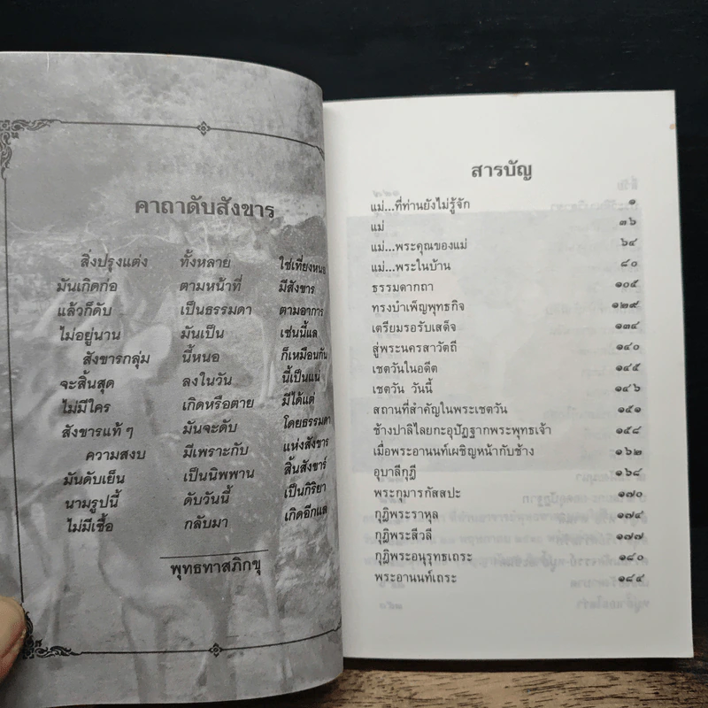 ธุดงค์ข้ามแดน (แม่-อินเดีย)ตอน 4 - ทิตุติญาโณ ภิกขุ รูปที่ 9