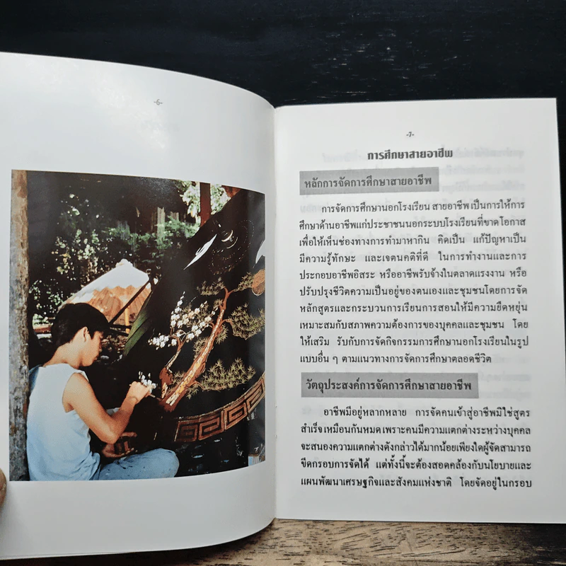 ปรับปรุงคุณภาพชีวิต คิดถีบ การศึกษานอกโรงเรียน สายอาชีพ รูปที่ 7