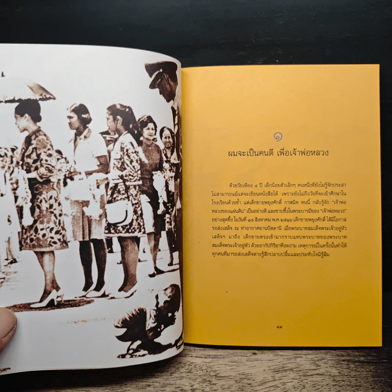 ในหลวงของฉัน รูปที่ 7