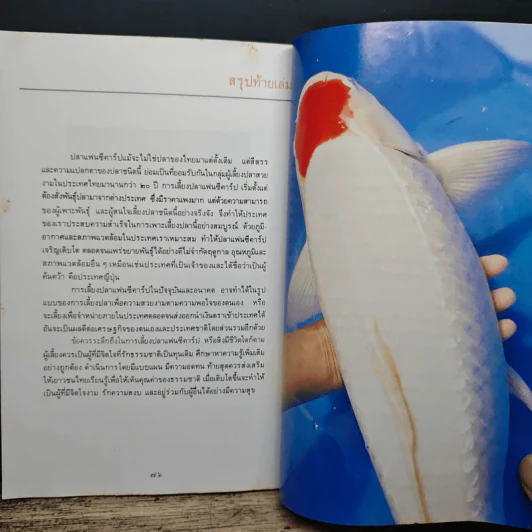 จิตวิทยาปลาคาร์ป พระนิพนธ์ สมเด็จพระเจ้าลูกเธอเจ้าฟ้าจุฬาภรณวลัยลักษณ์ รูปที่ 9