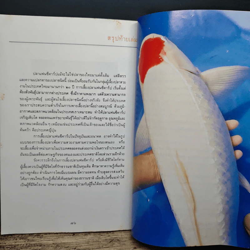 จิตวิทยาปลาคาร์ป พระนิพนธ์ สมเด็จพระเจ้าลูกเธอเจ้าฟ้าจุฬาภรณวลัยลักษณ์ รูปที่ 9