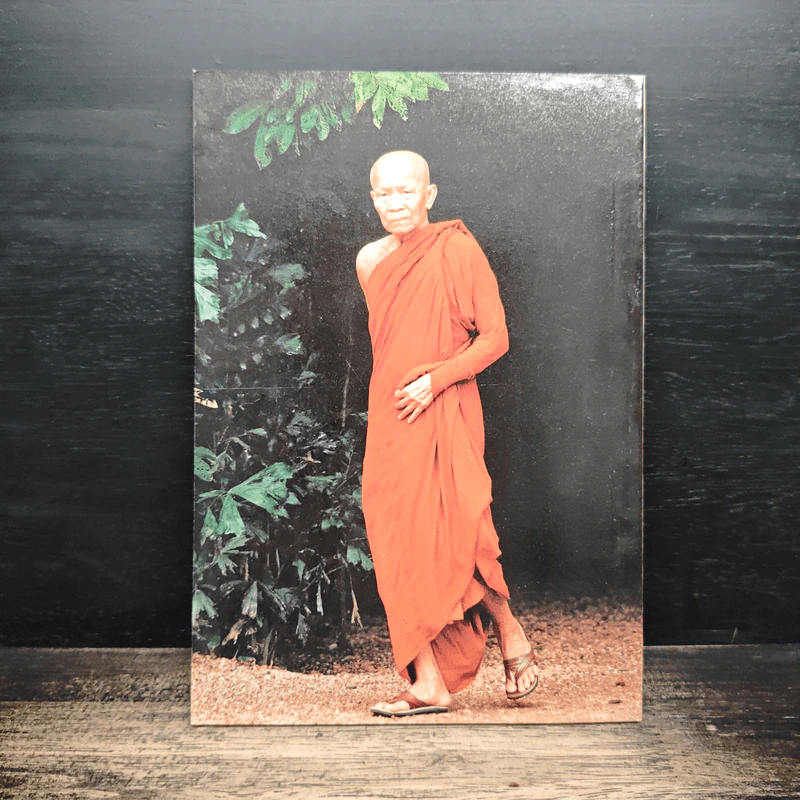 ธรรมชาติที่ไม่สูญสิ้น - พระมหาบัว ญาณสัมปันโน รูปที่ 2