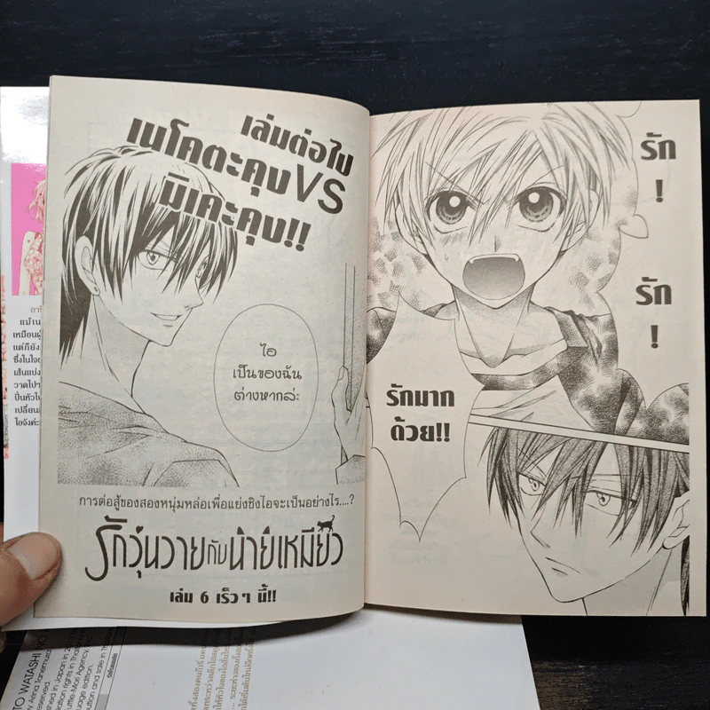 รักวุ่นวายกับนายเหมียว เล่ม 1-5 รูปที่ 9