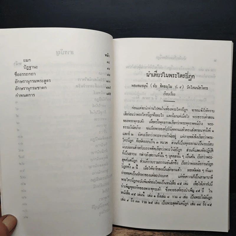 นำเที่ยวในพระไตรปิฎก รูปที่ 9
