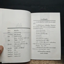 ศิลปินเถื่อน - ธราธิป รูปที่ 6
