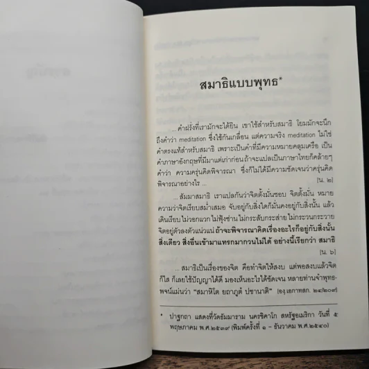 ทศวรรษธรรมทัศน์พระธรรมปิฎก รูปที่ 8