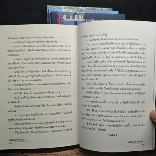 แด่สิบปีของพวกเรา 4 เล่มจบ - ซูไห่ชางเซิง รูปที่ 9