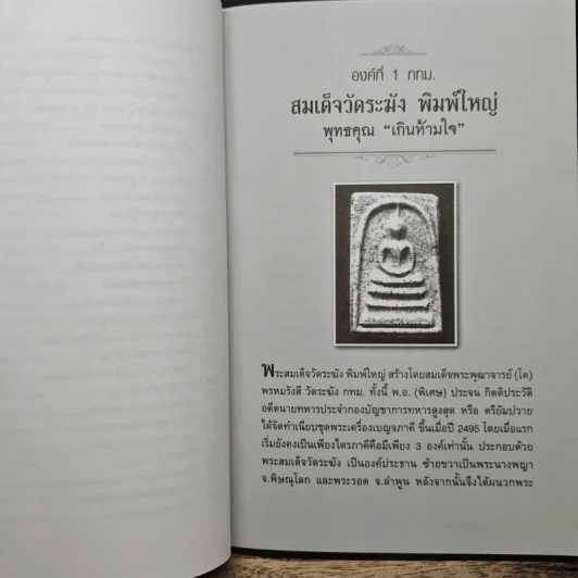 คู่มือเซียนพระมือใหม่ พระเครื่องพิมพ์นิยม - วีรพล จ้อยทองมูล รูปที่ 11