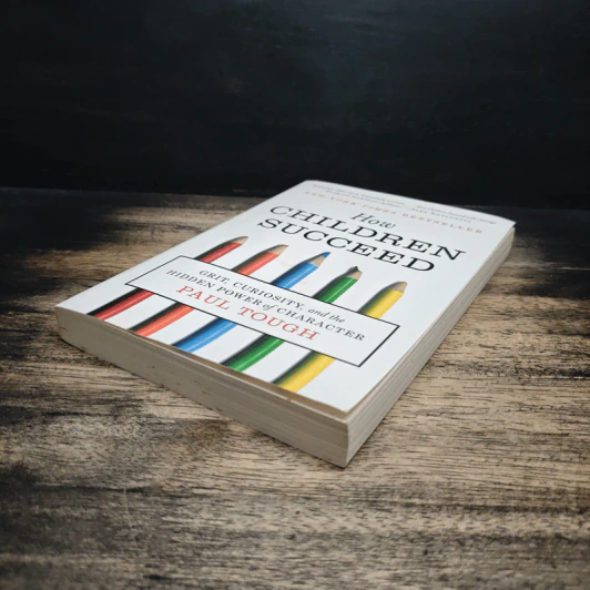 How Children Succeed - Paul Tough รูปที่ 4