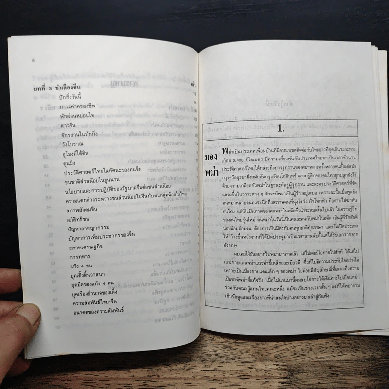 มองพม่า แลลาว ชำเลืองจีน - ขจัดภัย บุรุษพัฒน์ รูปที่ 7