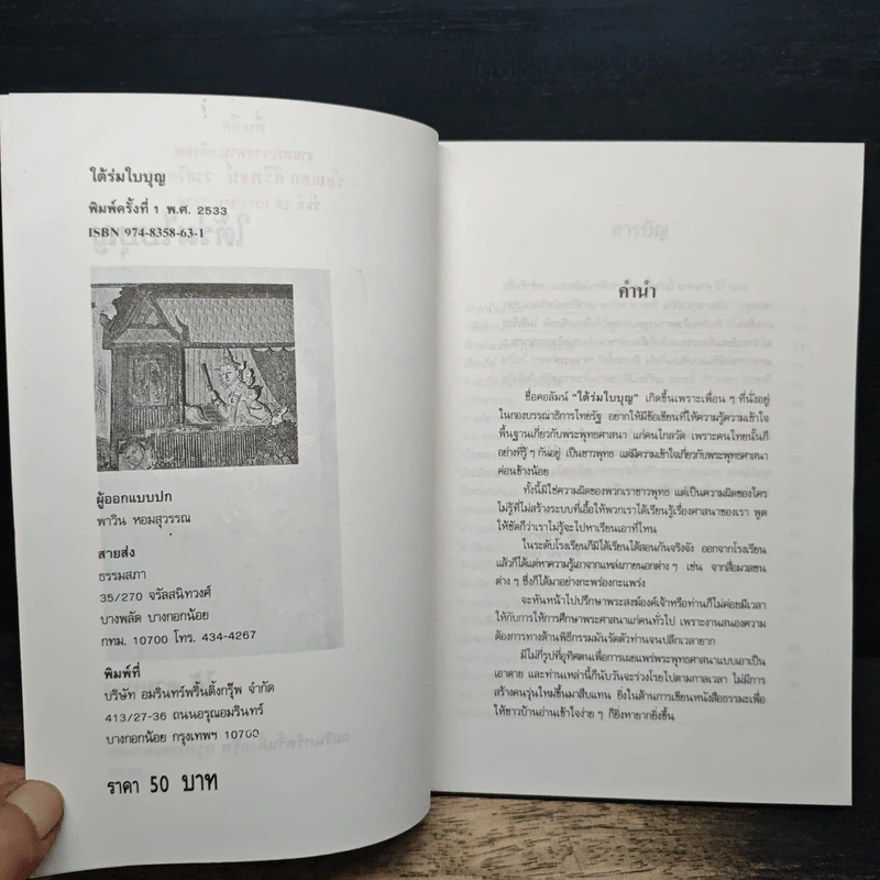 ใต้ร่มใบบุญ - ไต้ ตามทาง รูปที่ 6