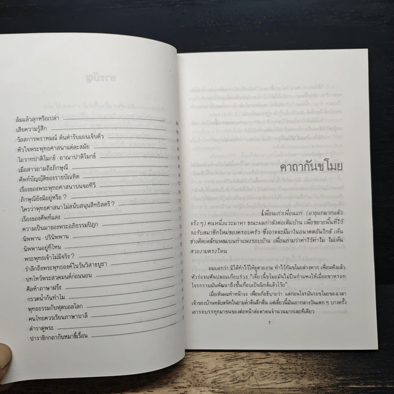 ใต้ร่มใบบุญ - ไต้ ตามทาง รูปที่ 8