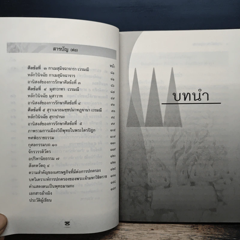 การเมืองใหม่วิถีพุทธ - พระครูภาวนาโพธิคุณ รูปที่ 9