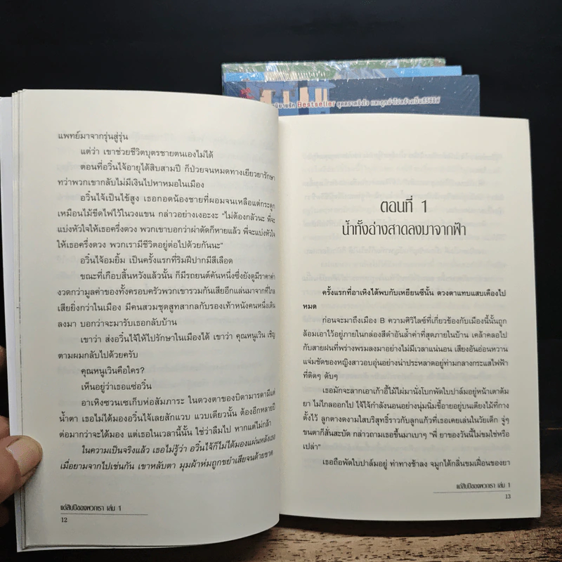 แด่สิบปีของพวกเรา 4 เล่มจบ - ซูไห่ชางเซิง รูปที่ 8
