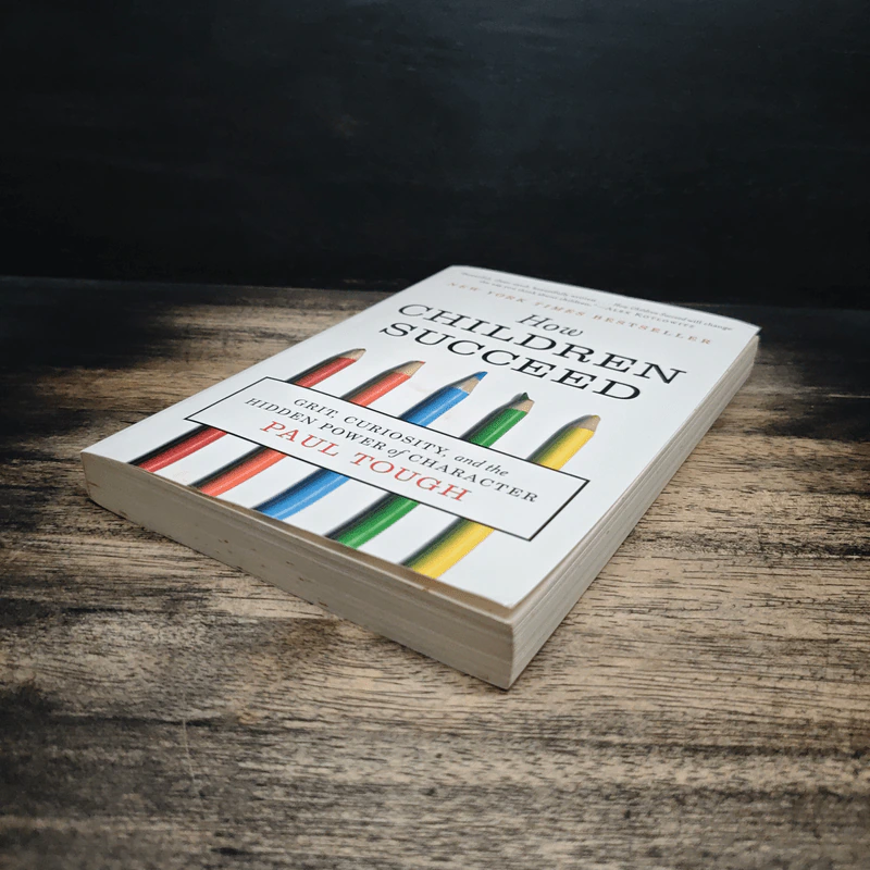 How Children Succeed - Paul Tough รูปที่ 4