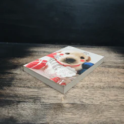 Dear Puppy - โม่เหยียน รูปที่ 4