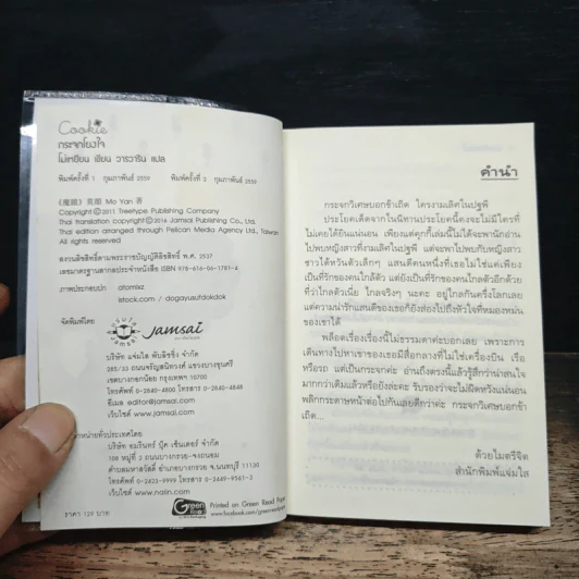 กระจกโยงใจ - โม่เหยียน รูปที่ 6