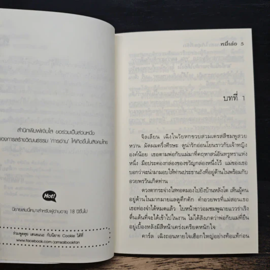 ยัยหลานสะใภ้สุดที่รัก - หมี่เล่อ, หนูทราย รูปที่ 7