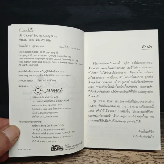 ประธานเล่ห์ร้าย ชุด Crazy Boss - เจี่ยนอิง, เม่นน้อย รูปที่ 6