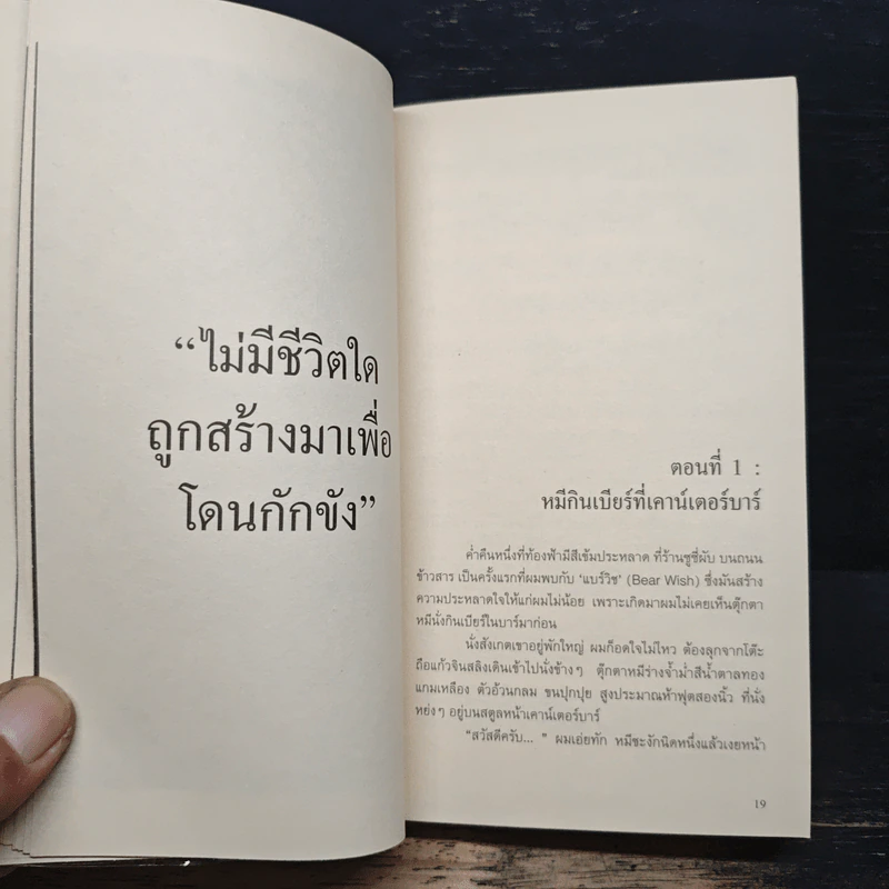 The Bear Wish Project - เดปป์ นนทเขตคาม รูปที่ 7